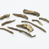 Astragalus