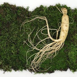 Ginseng