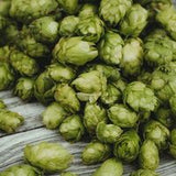 Hops Flower Extract