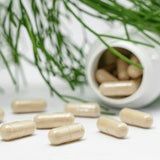 Palmitoylethanolamide (PEA)